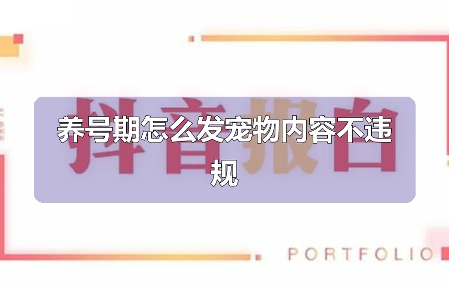 养号期怎么发宠物内容不违规