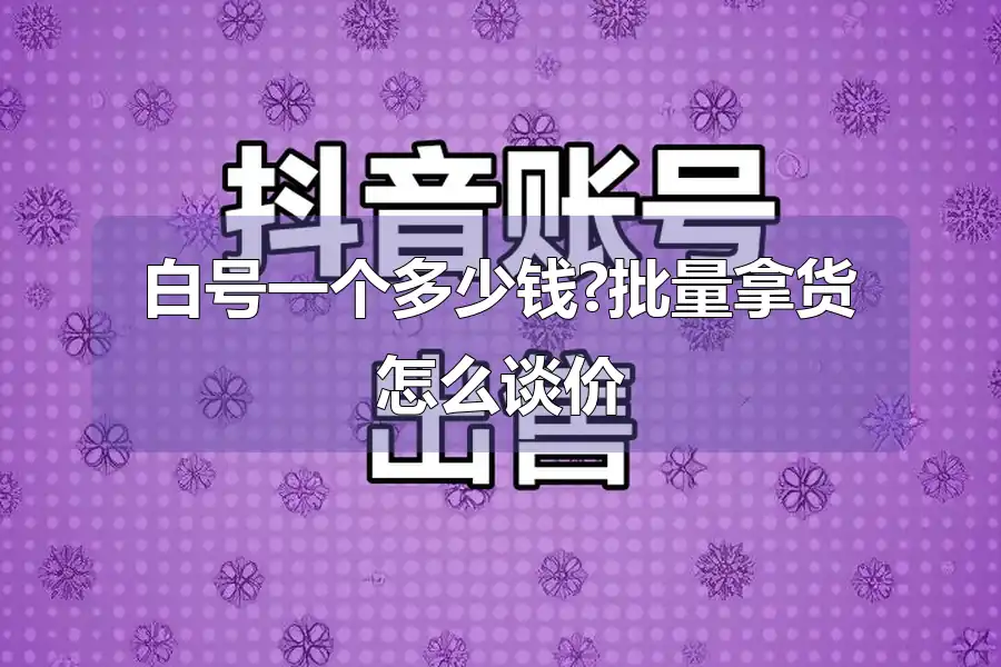 白号一个多少钱?批量拿货怎么谈价